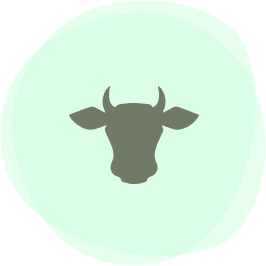Elevage bovins et ovins biologique